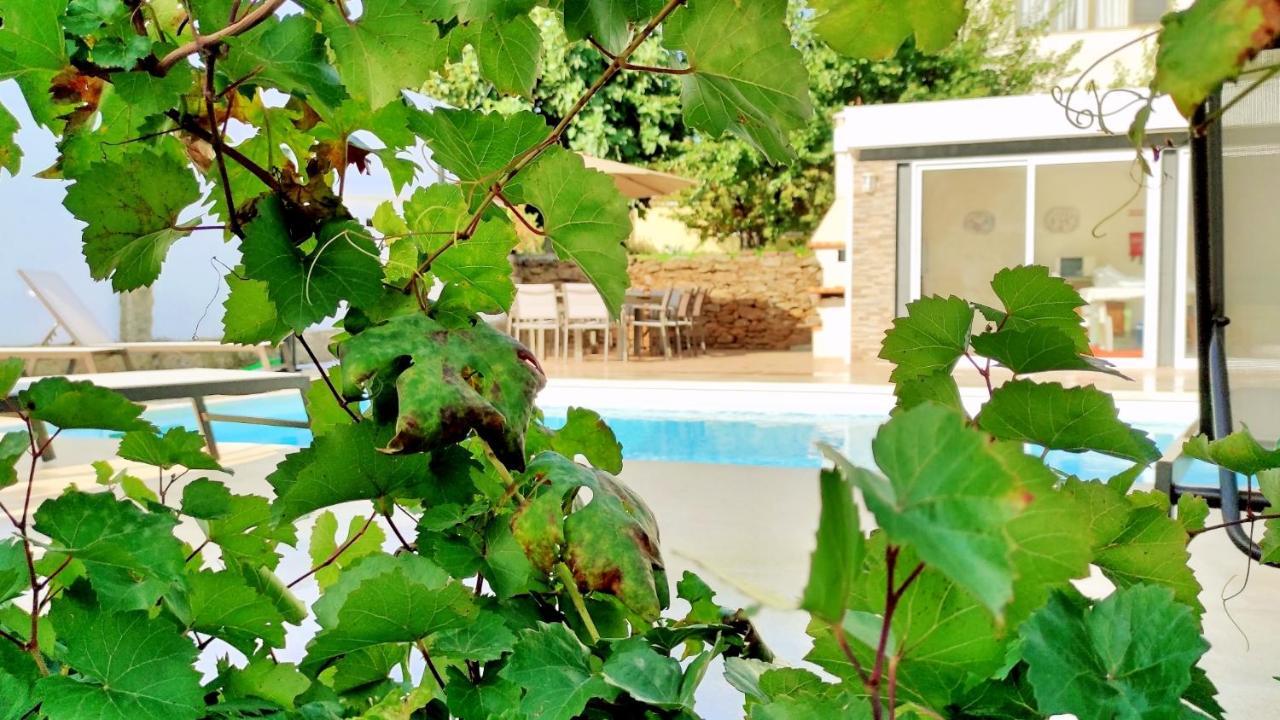 Villa D'Uvale Douro Alijó Eksteriør billede