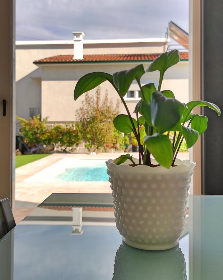 Villa D'Uvale Douro Alijó Eksteriør billede
